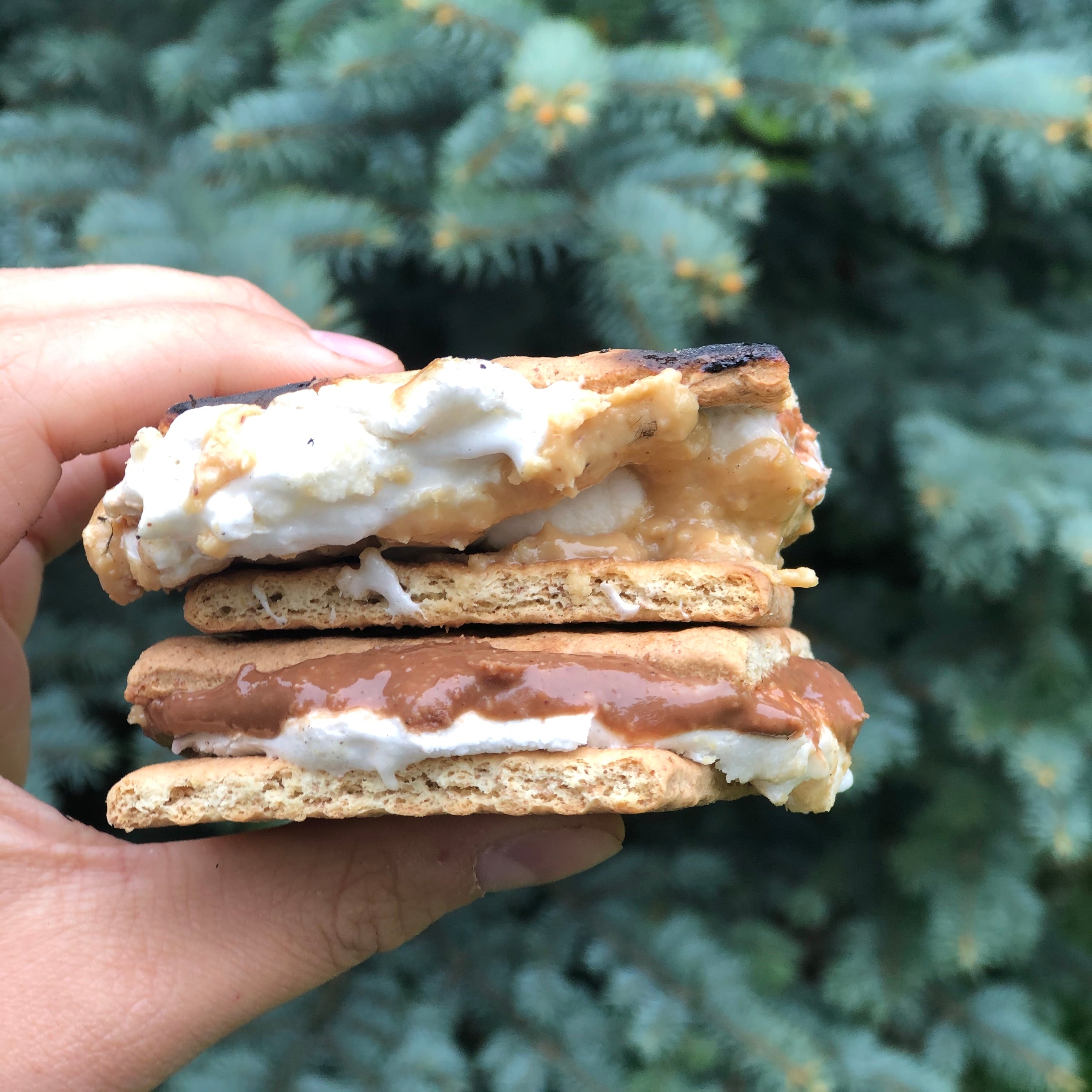 Gooey Natural Chocolate Peanut Butter S'mores
