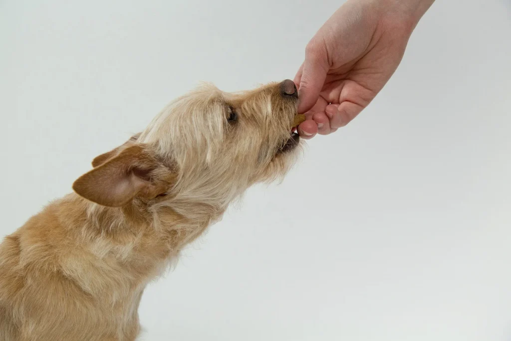 Natural Peanut Butter Dog Biscuits